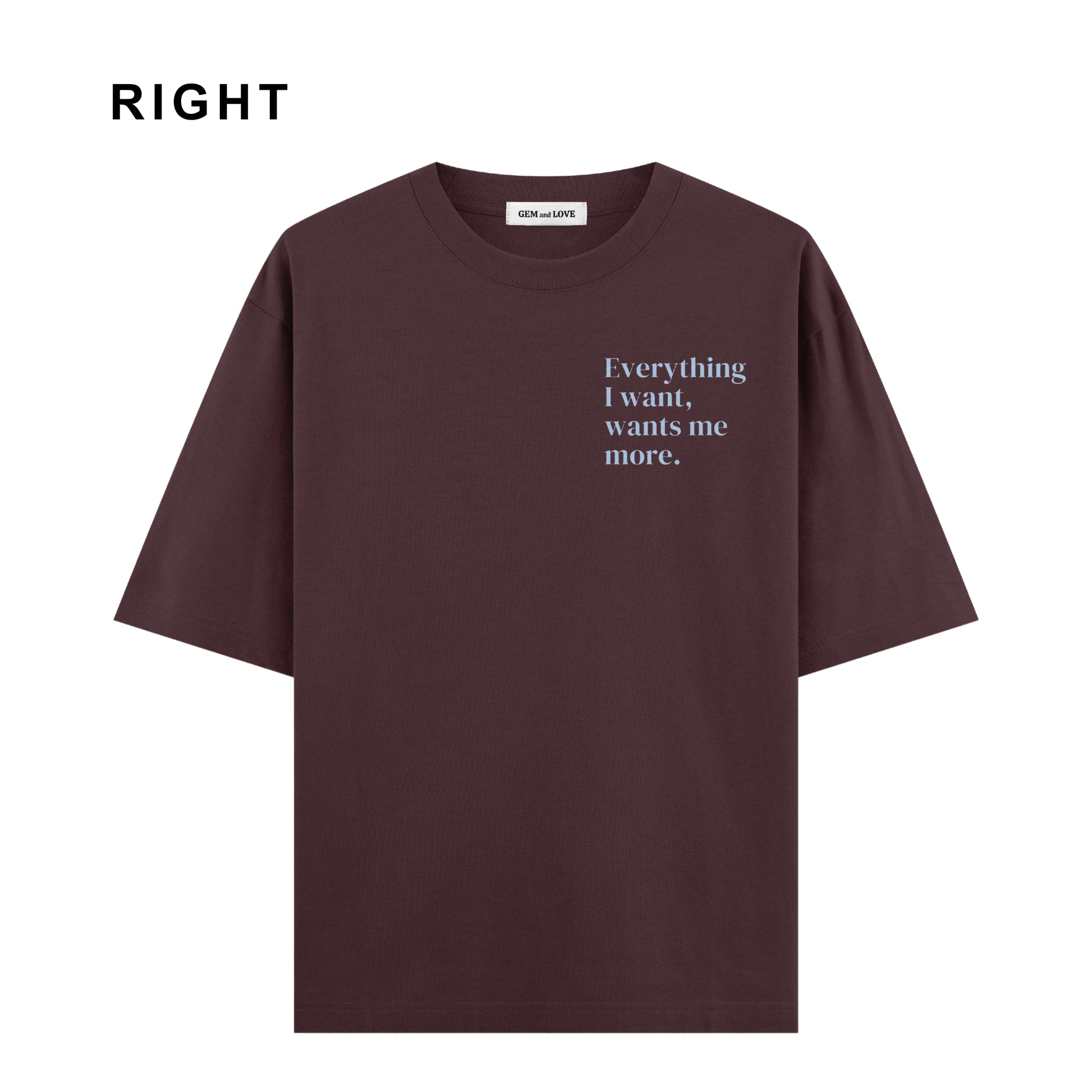 Everything I Want Oversized T-Shirt